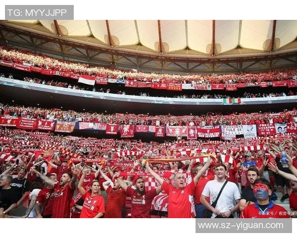 慕尼黑球队足球明星阵容全面解析与历史成就回顾